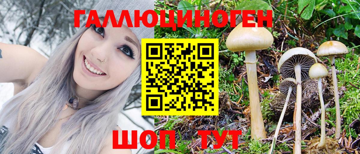 Галлюциногенные грибы GOLDEN TEACHER  где можно купить наркотик  Губкин  Вход с VPN 